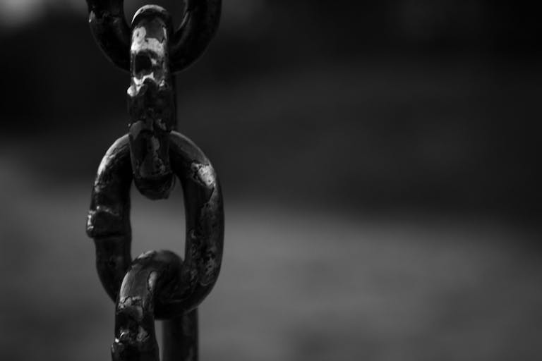 best backlink checker